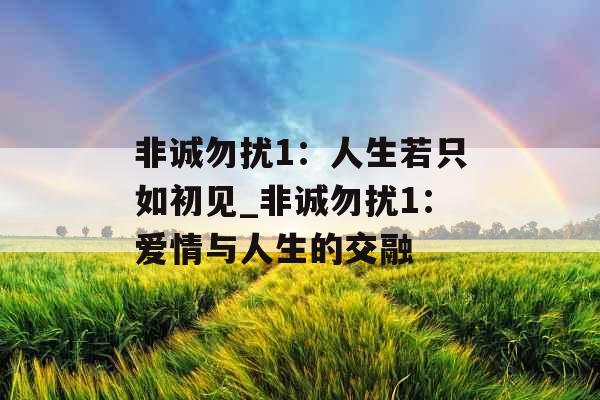 非诚勿扰1：人生若只如初见_非诚勿扰1：爱情与人生的交融