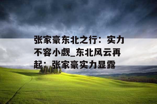 张家豪东北之行：实力不容小觑_东北风云再起：张家豪实力显露