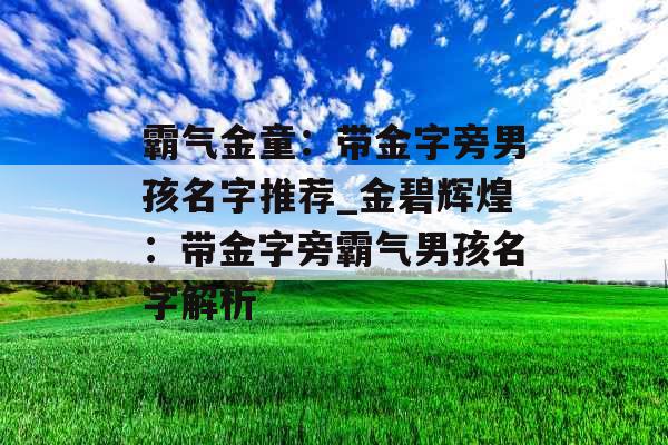 霸气金童：带金字旁男孩名字推荐_金碧辉煌：带金字旁霸气男孩名字解析