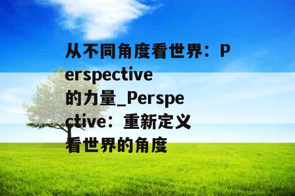 从不同角度看世界：Perspective的力量_Perspective：重新定义看世界的角度