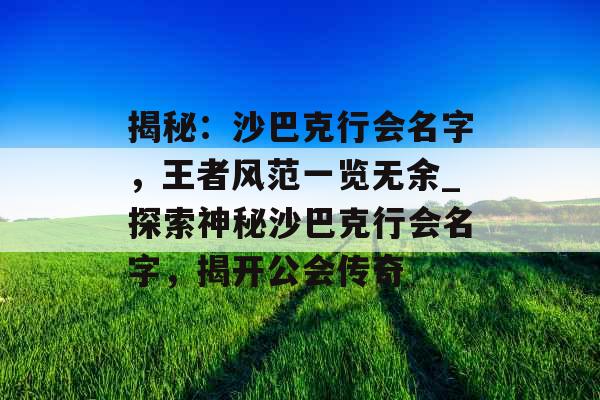 揭秘：沙巴克行会名字，王者风范一览无余_探索神秘沙巴克行会名字，揭开公会传奇