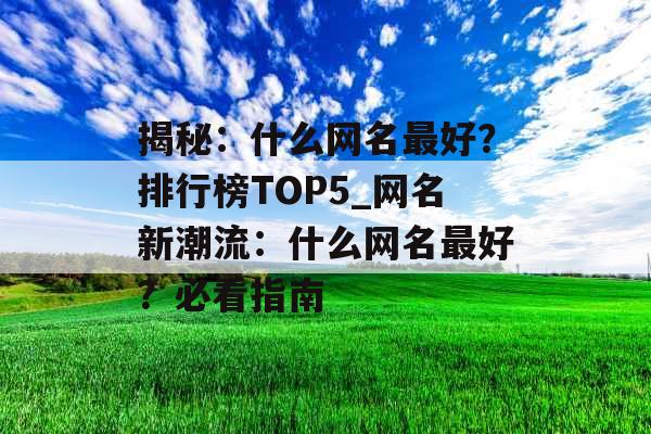 揭秘：什么网名最好？排行榜TOP5_网名新潮流：什么网名最好？必看指南