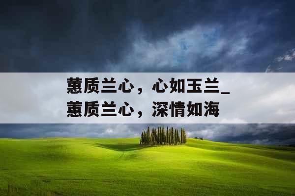 蕙质兰心，心如玉兰_蕙质兰心，深情如海