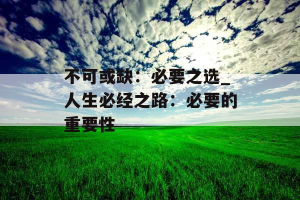 不可或缺：必要之选_人生必经之路：必要的重要性