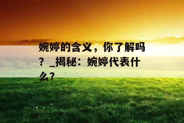 婉婷的含义，你了解吗？_揭秘：婉婷代表什么？