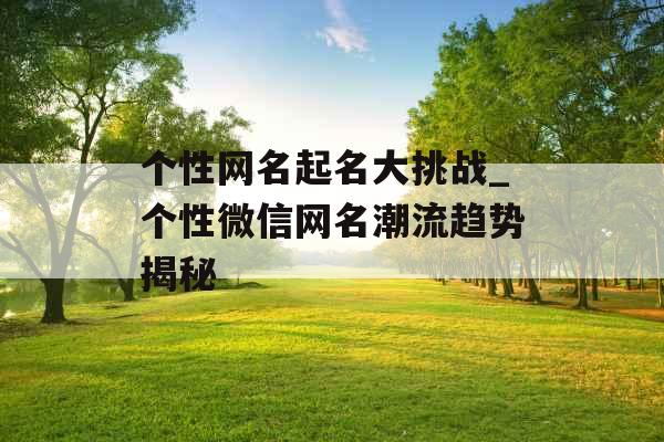 个性网名起名大挑战_个性微信网名潮流趋势揭秘