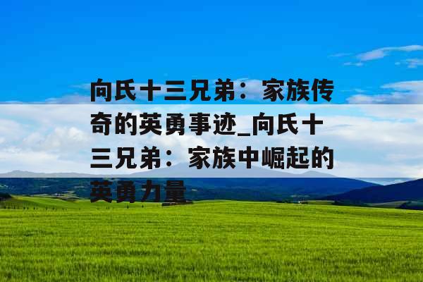 向氏十三兄弟：家族传奇的英勇事迹_向氏十三兄弟：家族中崛起的英勇力量