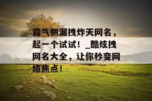 霸气侧漏拽炸天网名，起一个试试！_酷炫拽网名大全，让你秒变网络焦点！