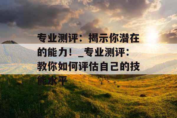 专业测评：揭示你潜在的能力！_专业测评：教你如何评估自己的技能水平