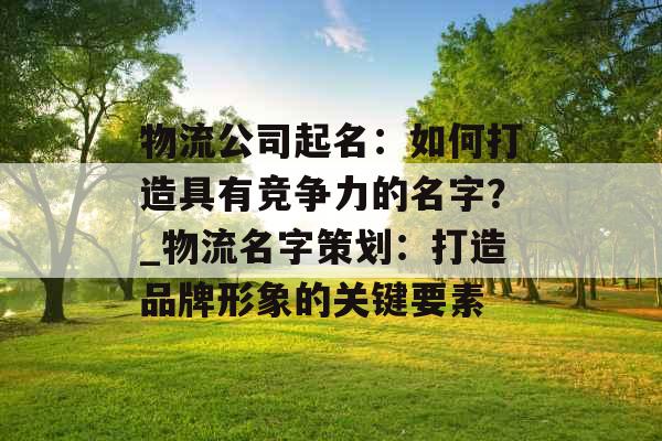 物流公司起名：如何打造具有竞争力的名字？_物流名字策划：打造品牌形象的关键要素