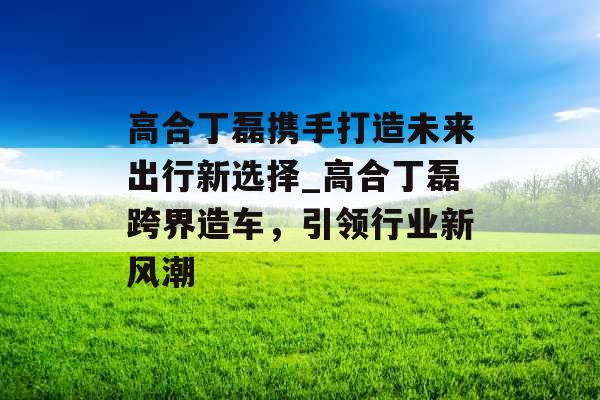 高合丁磊携手打造未来出行新选择_高合丁磊跨界造车，引领行业新风潮