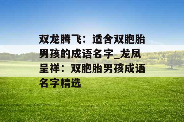 双龙腾飞：适合双胞胎男孩的成语名字_龙凤呈祥：双胞胎男孩成语名字精选