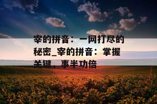 宰的拼音：一网打尽的秘密_宰的拼音：掌握关键，事半功倍