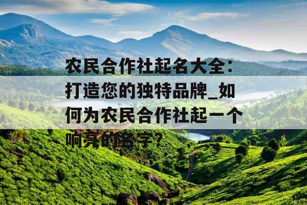 农民合作社起名大全：打造您的独特品牌_如何为农民合作社起一个响亮的名字？