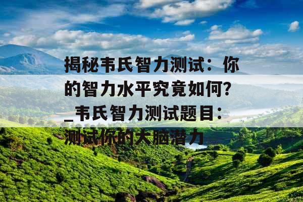 揭秘韦氏智力测试：你的智力水平究竟如何？_韦氏智力测试题目：测试你的大脑潜力