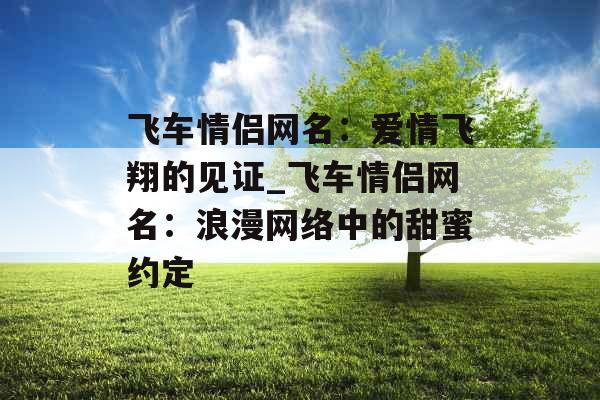 飞车情侣网名：爱情飞翔的见证_飞车情侣网名：浪漫网络中的甜蜜约定