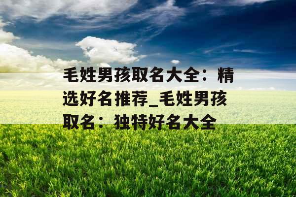 毛姓男孩取名大全：精选好名推荐_毛姓男孩取名：独特好名大全