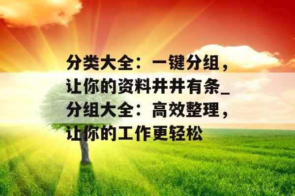 分类大全：一键分组，让你的资料井井有条_分组大全：高效整理，让你的工作更轻松