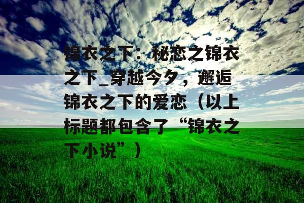 锦衣之下：秘恋之锦衣之下_穿越今夕，邂逅锦衣之下的爱恋（以上标题都包含了“锦衣之下小说”）