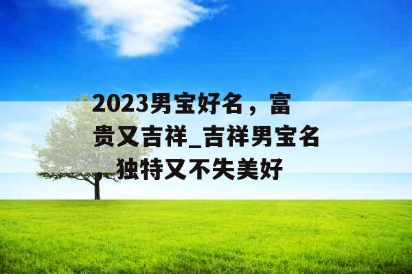 2023男宝好名，富贵又吉祥_吉祥男宝名，独特又不失美好
