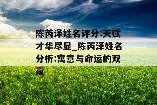 陈芮泽姓名评分:天赋才华尽显_陈芮泽姓名分析:寓意与命运的双赢