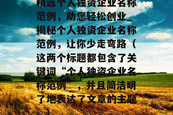 精选个人独资企业名称范例，助您轻松创业_揭秘个人独资企业名称范例，让你少走弯路（这两个标题都包含了关键词“个人独资企业名称范例”，并且简洁明了地表达了文章的主题。）