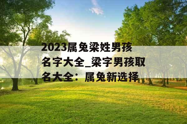 2023属兔梁姓男孩名字大全_梁字男孩取名大全：属兔新选择