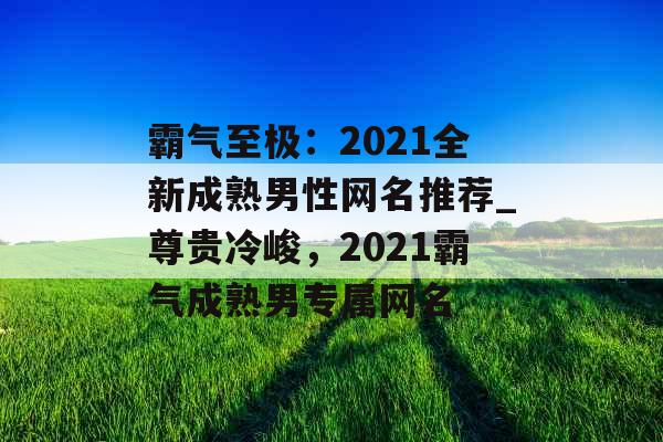 霸气至极：2021全新成熟男性网名推荐_尊贵冷峻，2021霸气成熟男专属网名