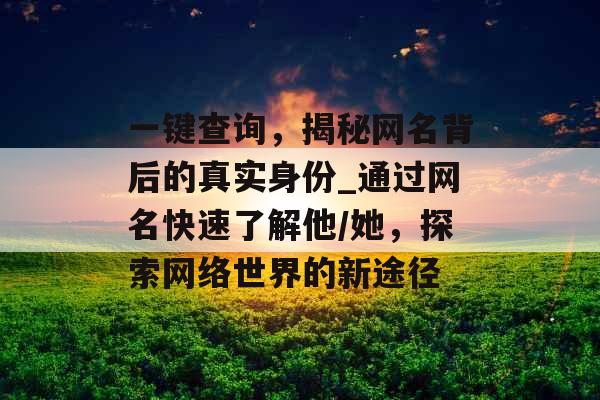 一键查询，揭秘网名背后的真实身份_通过网名快速了解他/她，探索网络世界的新途径