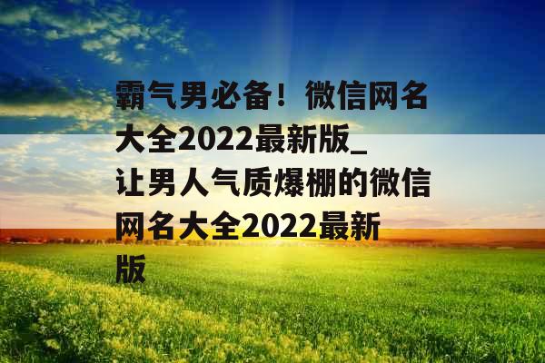 霸气男必备！微信网名大全2022最新版_让男人气质爆棚的微信网名大全2022最新版