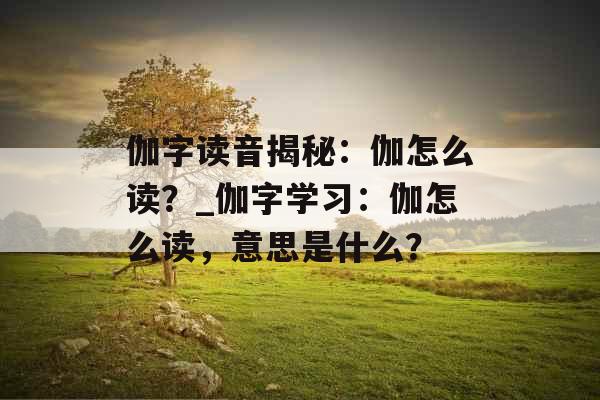 伽字读音揭秘：伽怎么读？_伽字学习：伽怎么读，意思是什么？