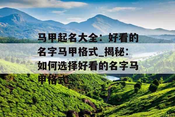 马甲起名大全：好看的名字马甲格式_揭秘：如何选择好看的名字马甲格式