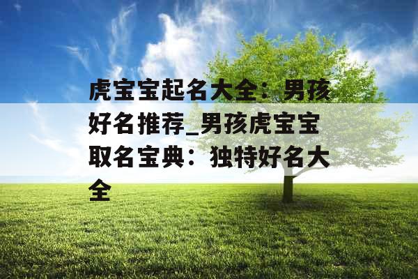虎宝宝起名大全：男孩好名推荐_男孩虎宝宝取名宝典：独特好名大全