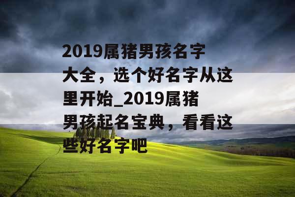 2019属猪男孩名字大全，选个好名字从这里开始_2019属猪男孩起名宝典，看看这些好名字吧