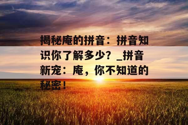 揭秘庵的拼音：拼音知识你了解多少？_拼音新宠：庵，你不知道的秘密！