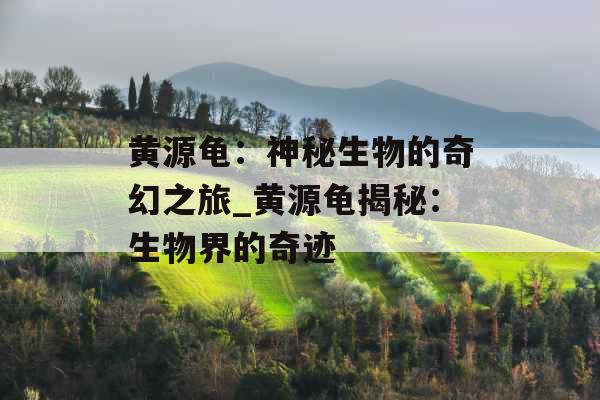 黄源龟：神秘生物的奇幻之旅_黄源龟揭秘：生物界的奇迹