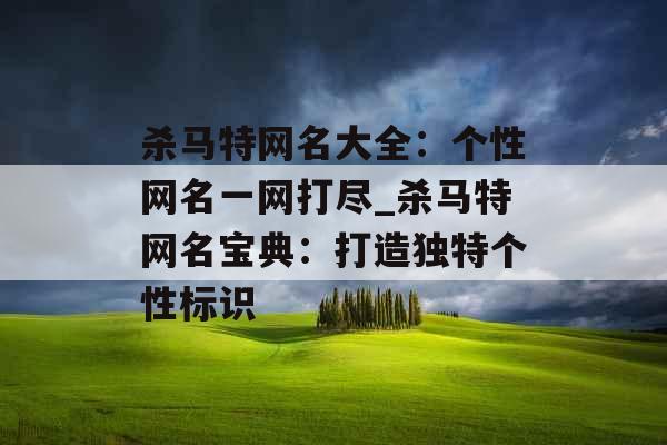 杀马特网名大全：个性网名一网打尽_杀马特网名宝典：打造独特个性标识