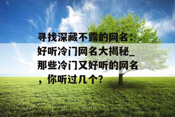 寻找深藏不露的网名：好听冷门网名大揭秘_那些冷门又好听的网名，你听过几个？