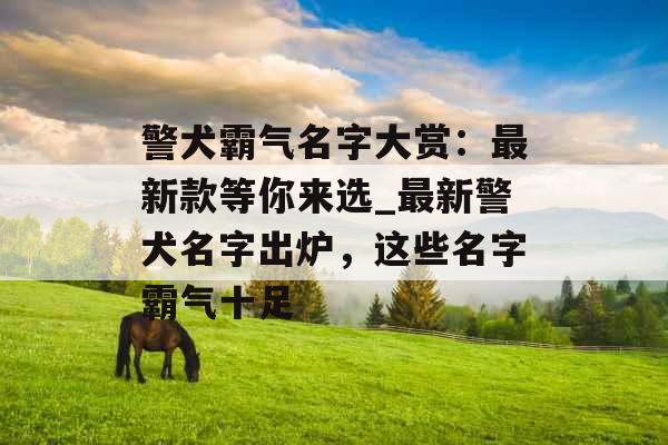 警犬霸气名字大赏：最新款等你来选_最新警犬名字出炉，这些名字霸气十足