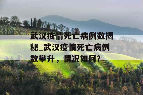 武汉疫情死亡病例数揭秘_武汉疫情死亡病例数攀升，情况如何？