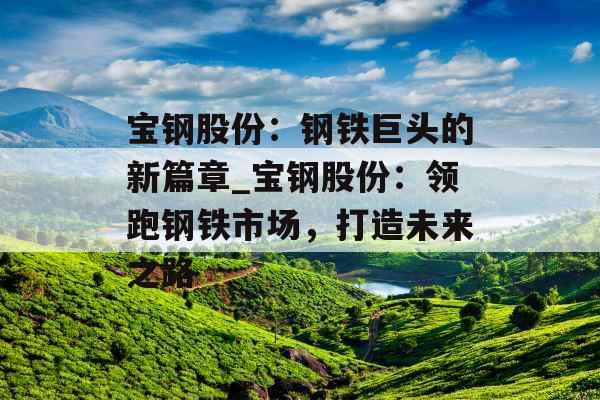宝钢股份：钢铁巨头的新篇章_宝钢股份：领跑钢铁市场，打造未来之路