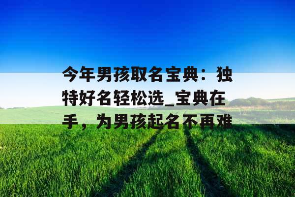 今年男孩取名宝典：独特好名轻松选_宝典在手，为男孩起名不再难