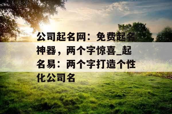 公司起名网：免费起名神器，两个字惊喜_起名易：两个字打造个性化公司名