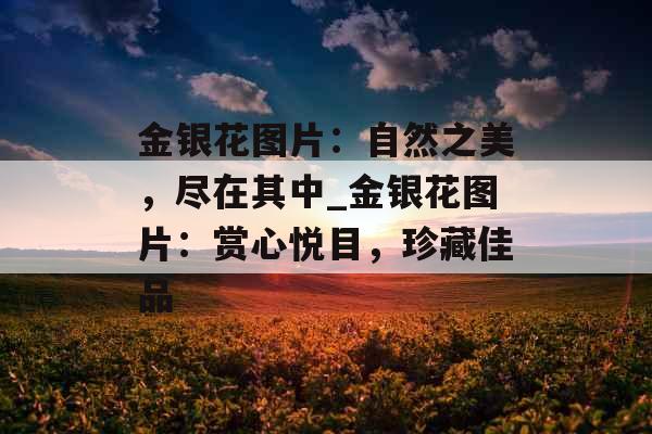 金银花图片：自然之美，尽在其中_金银花图片：赏心悦目，珍藏佳品