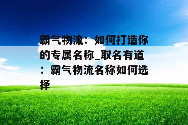霸气物流：如何打造你的专属名称_取名有道：霸气物流名称如何选择
