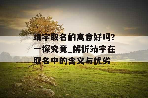 靖字取名的寓意好吗？一探究竟_解析靖字在取名中的含义与优劣