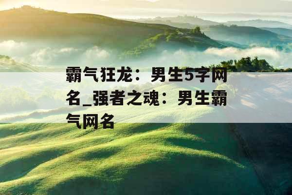 霸气狂龙：男生5字网名_强者之魂：男生霸气网名