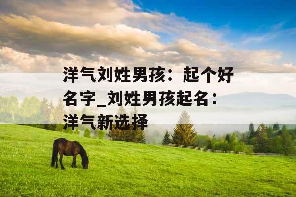 洋气刘姓男孩：起个好名字_刘姓男孩起名：洋气新选择