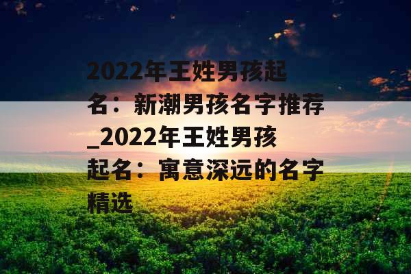 2022年王姓男孩起名：新潮男孩名字推荐_2022年王姓男孩起名：寓意深远的名字精选