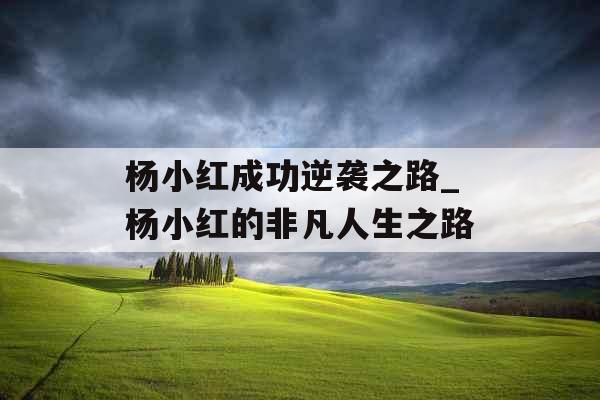 杨小红成功逆袭之路_杨小红的非凡人生之路